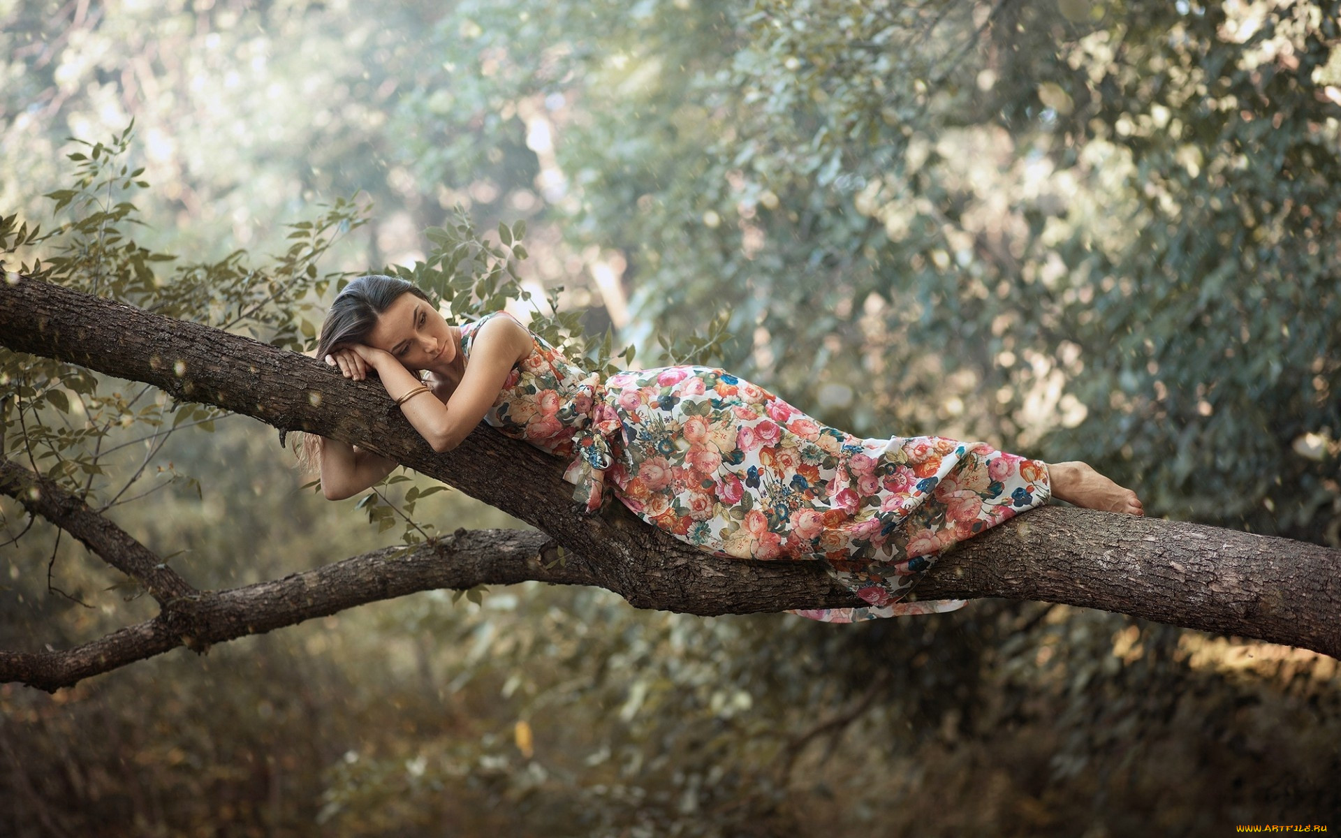 Девушка лежит на дереве